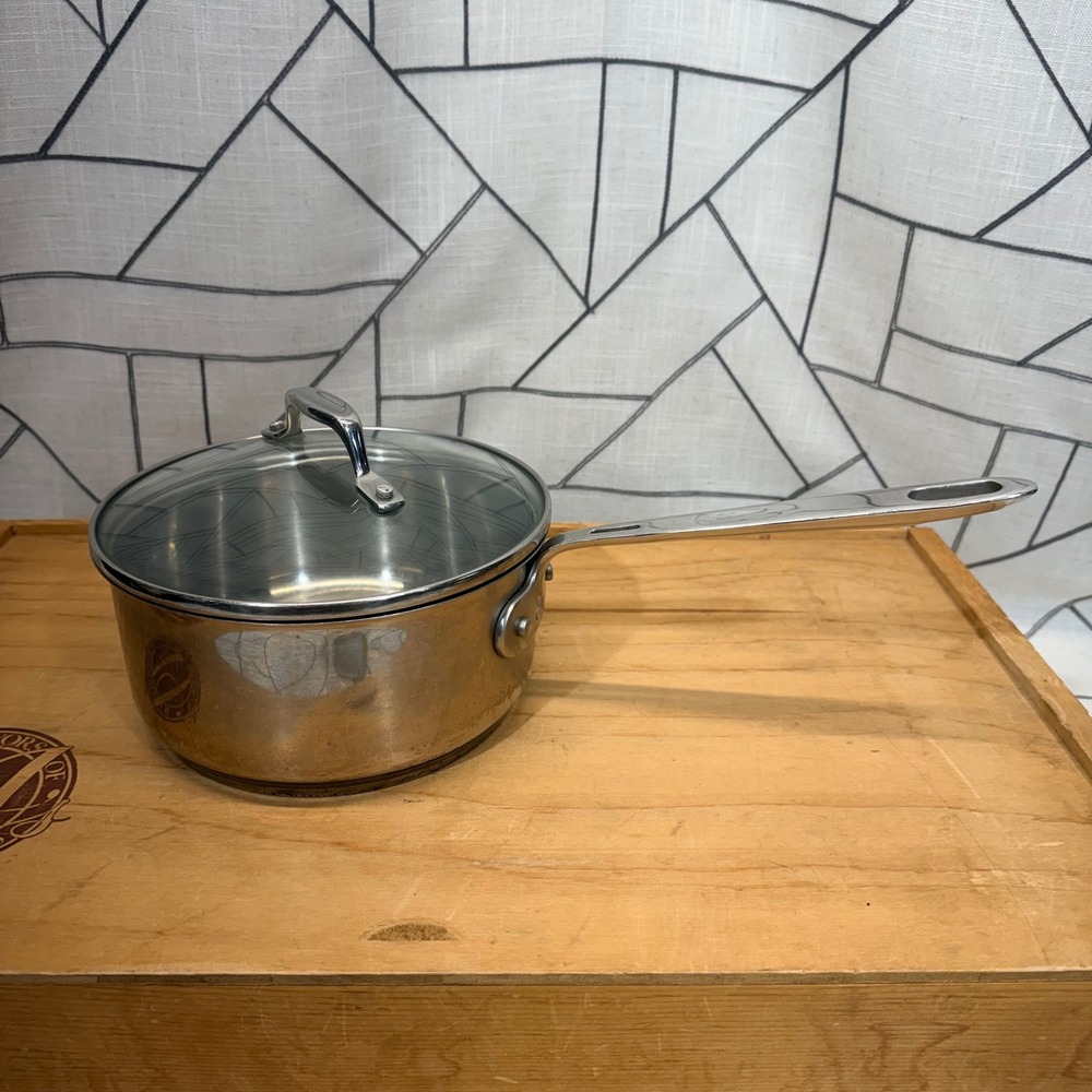 Emeril Saucepan 2qt Silver Stainless Steel With Glass Lid Riveted Handle